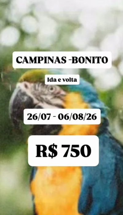 Post 4 do Instagram @travel.aria.br